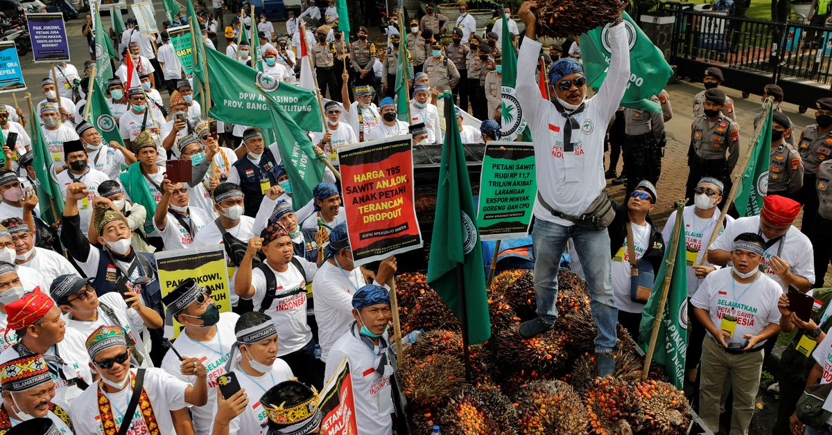 Indonesian farmers protest against rising cost of palm oil export ban