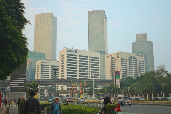 What the Indonesia Investment Authority Did in 2025