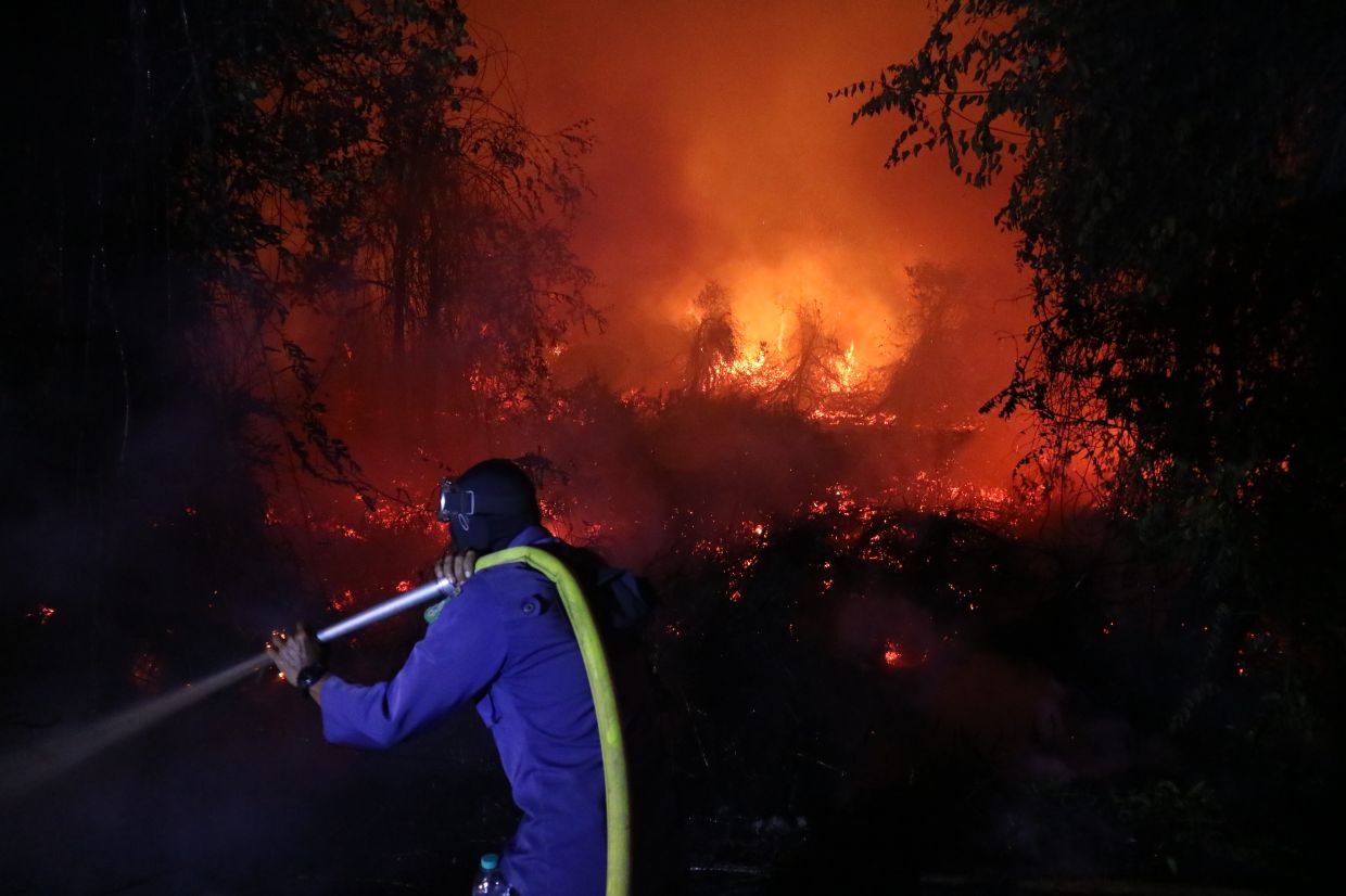 Indonesia sanctions six firms over Kalimantan fires